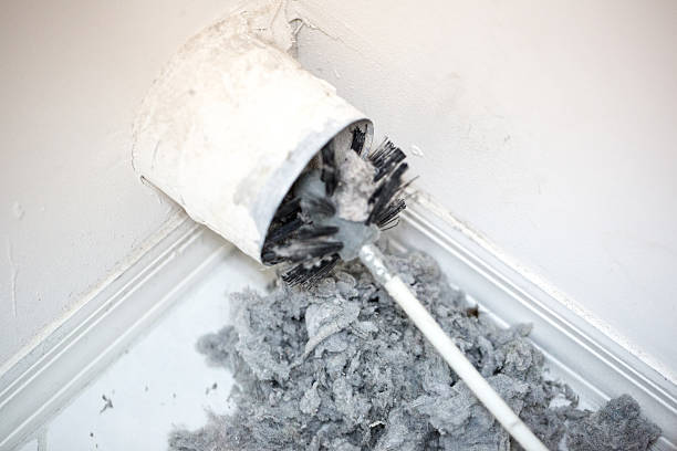 Best Air Duct Cleaning Company Near Me  in Warrington, FL